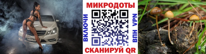 сколько стоит  MEGA зеркало  Галлюциногенные грибы Cubensis  Невельск 